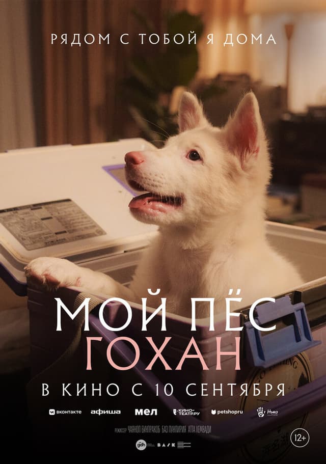 Постер Мой пёс Гохан