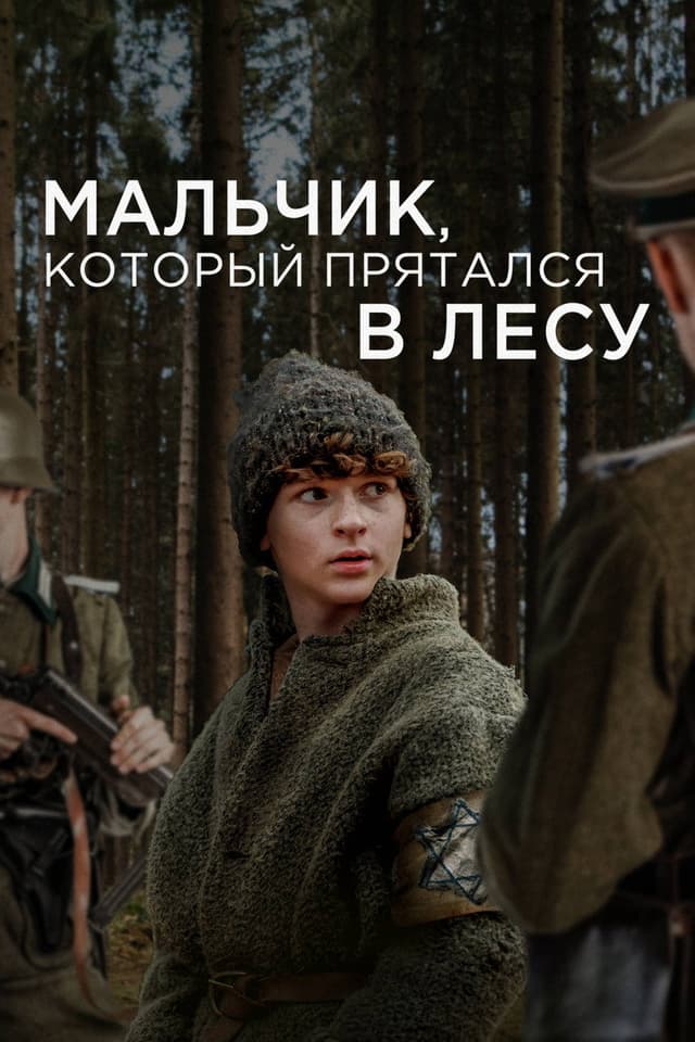 Постер Мальчик, который прятался в лесу
