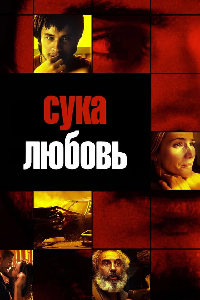 Постер Сука-любовь