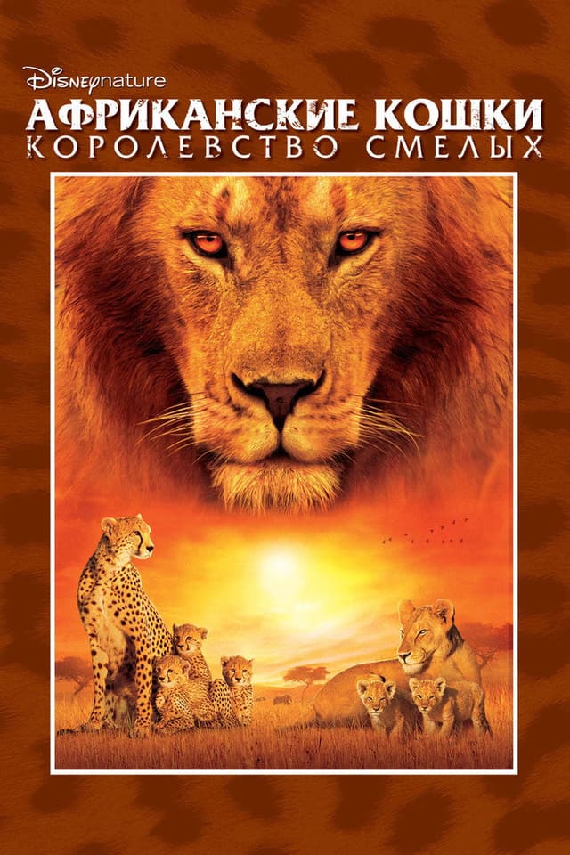 Постер Африканские кошки: Королевство смелых