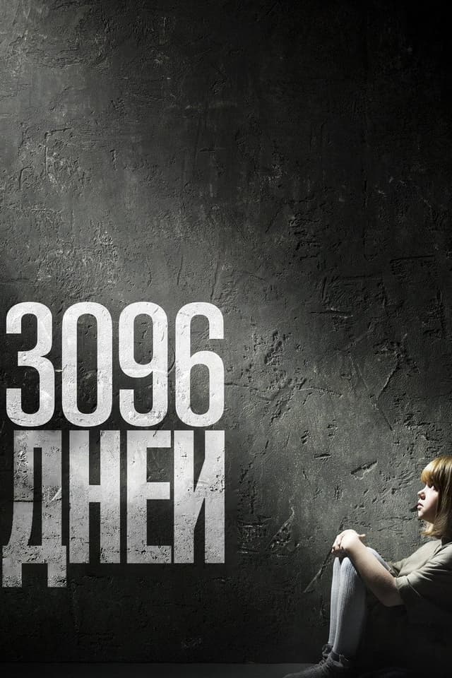 Постер 3096 дней