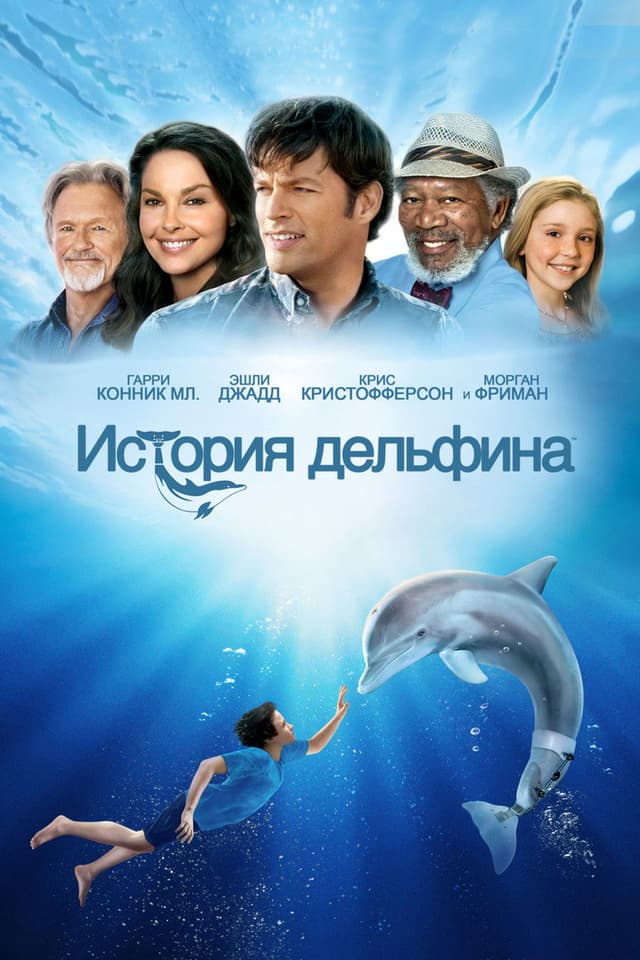 Постер История дельфина