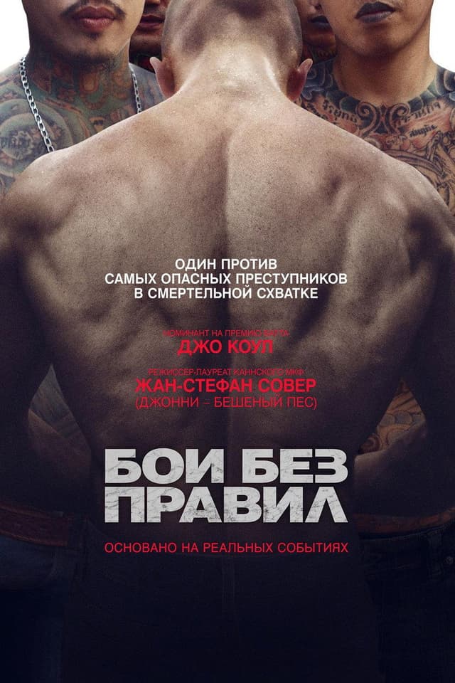 Постер Бои без правил