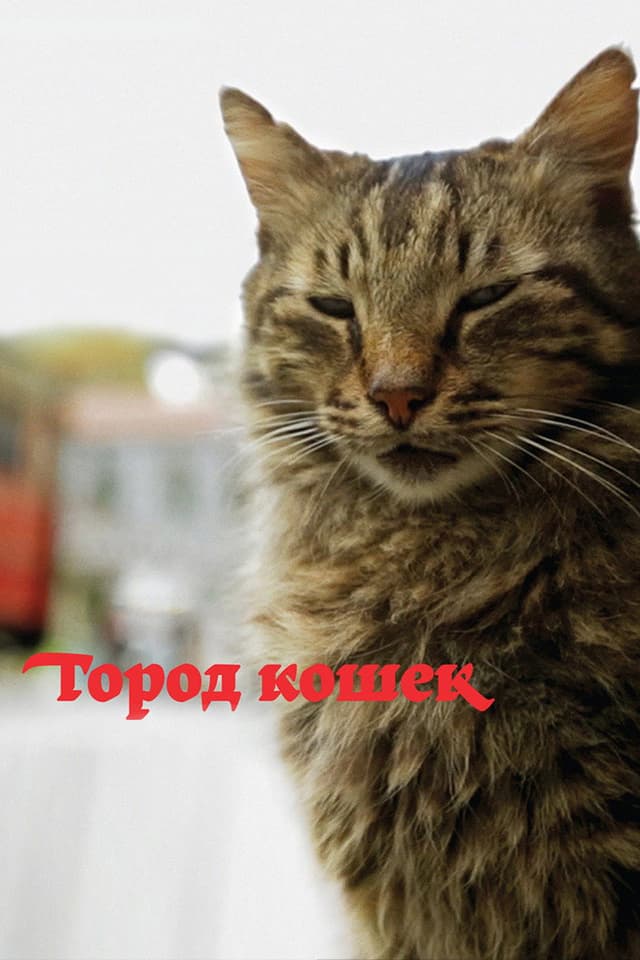 Постер Город кошек