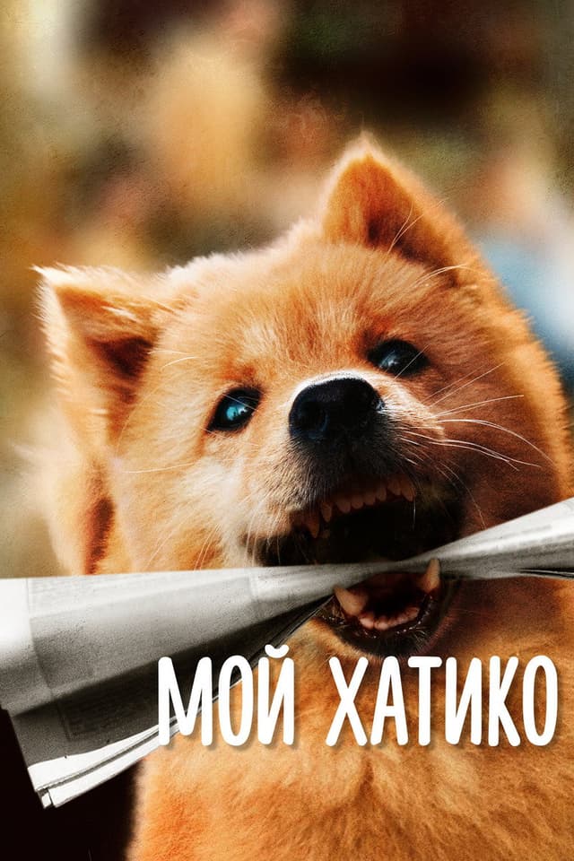 Постер Мой Хатико