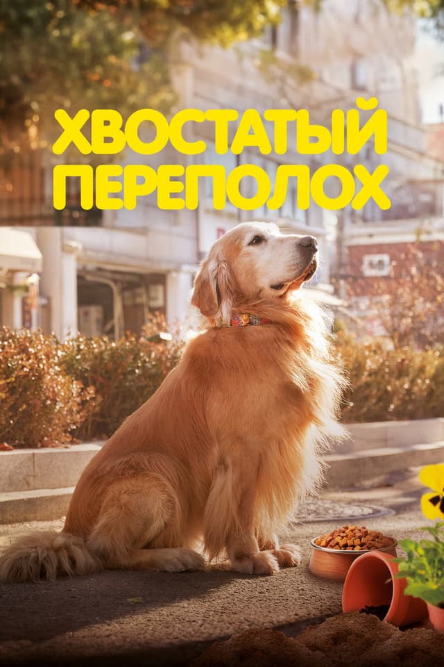 Постер Хвостатый переполох