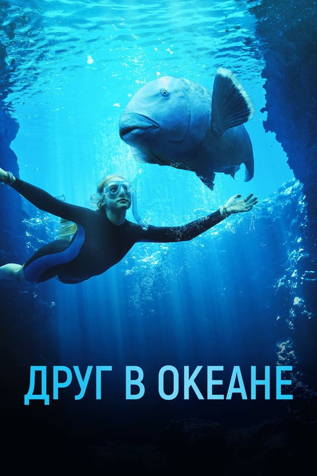 Постер Друг в океане