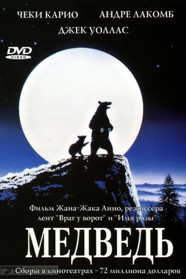 Постер Медведь