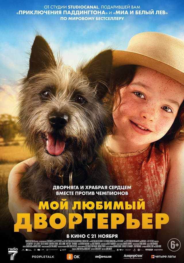 Постер Мой любимый двортерьер
