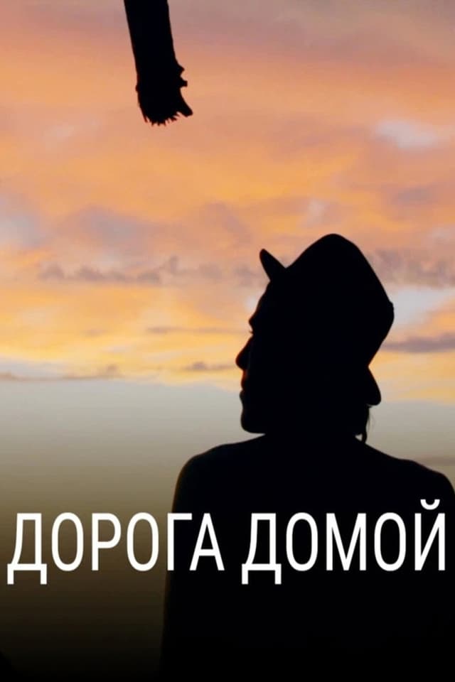 Постер Дорога домой
