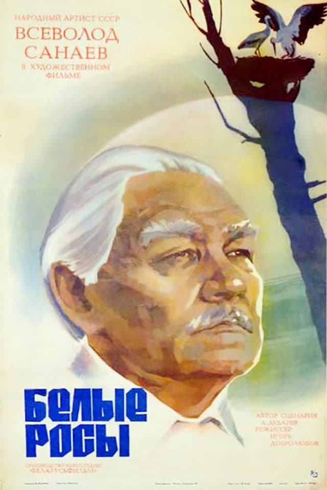 Постер Белые росы