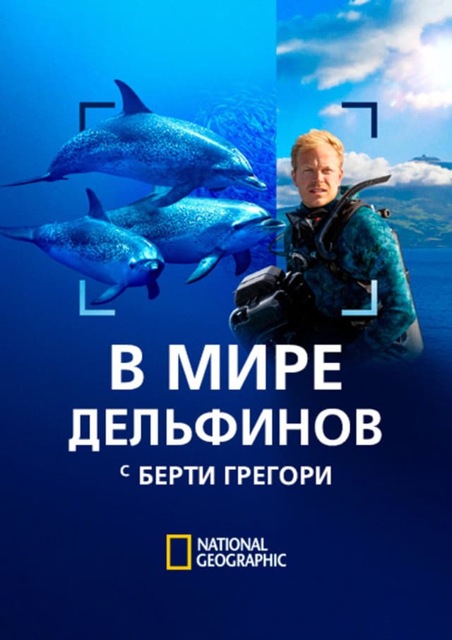 Постер В мире дельфинов с Берти Грегори
