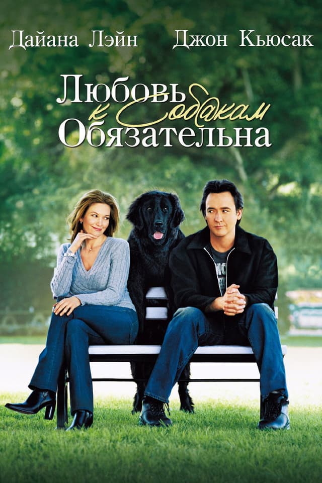 Постер Любовь к собакам обязательна