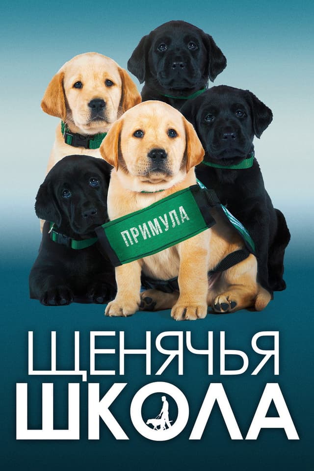 Постер Щенячья школа