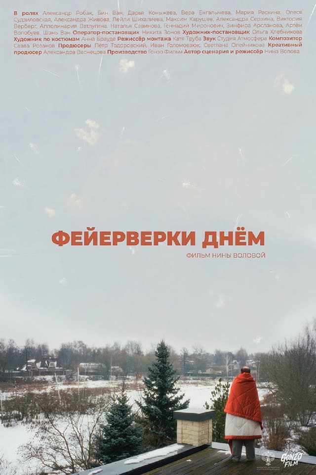 Постер Фейерверки днём