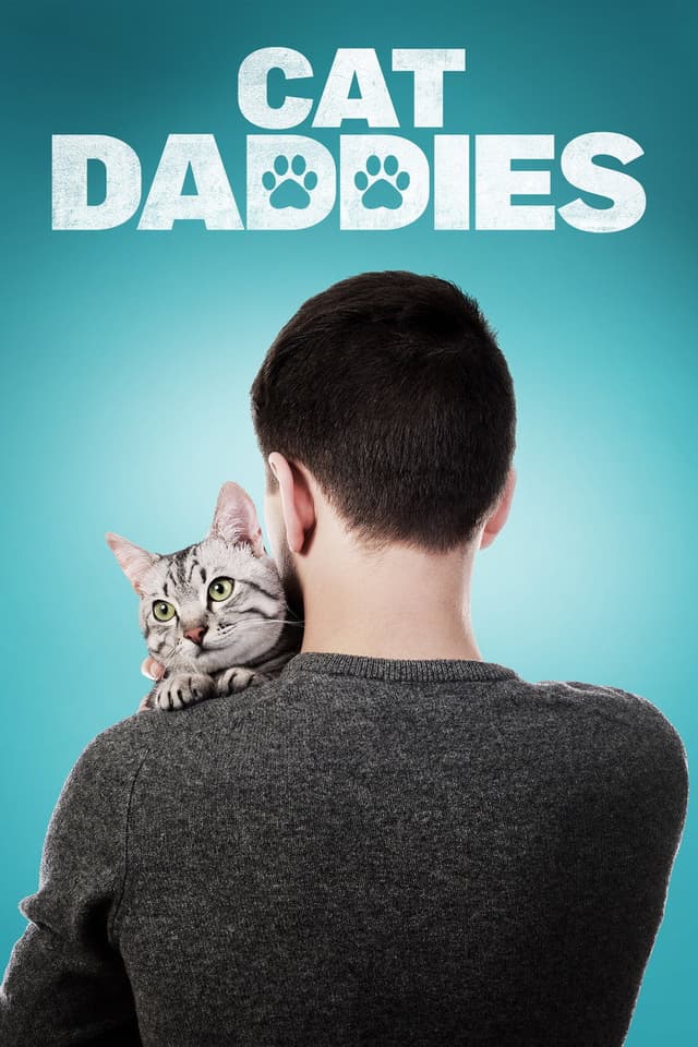 Постер Котики