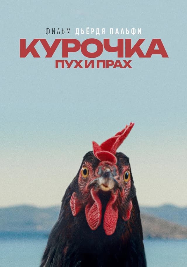 Постер Курочка. Пух и прах