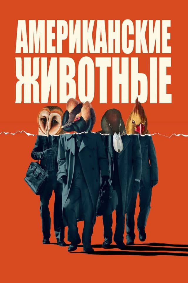 Постер Американские животные