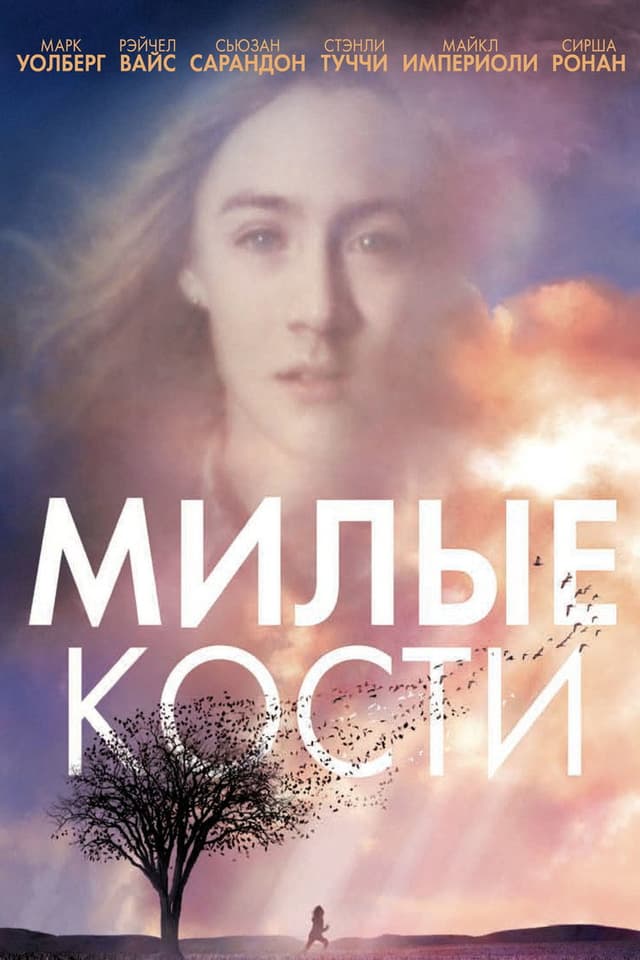 Постер Милые кости