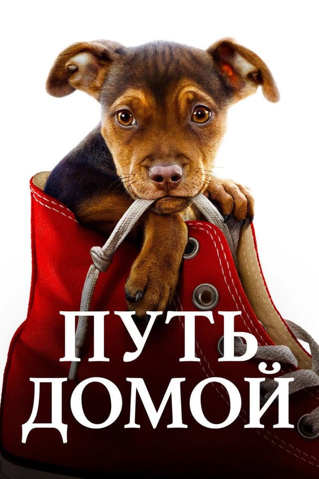 Постер Путь домой