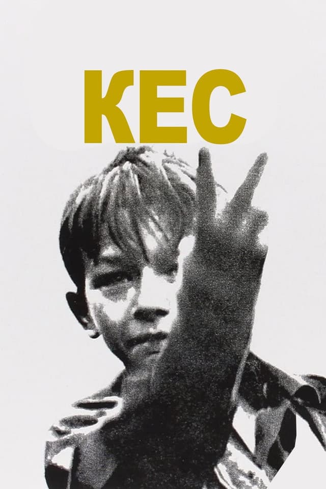 Постер Кес