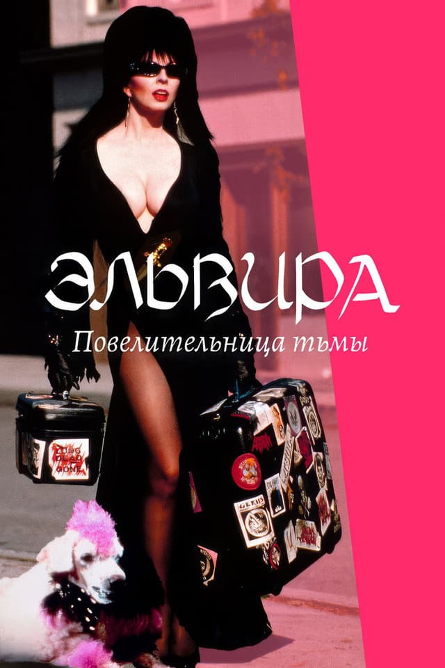 Постер Эльвира: Повелительница тьмы