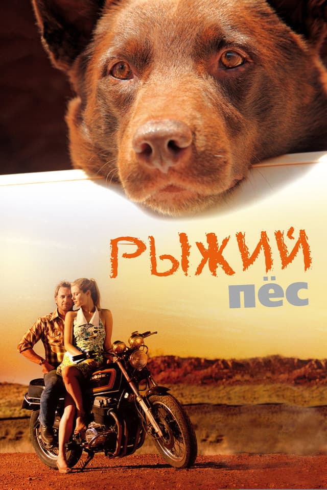Постер Рыжий пес